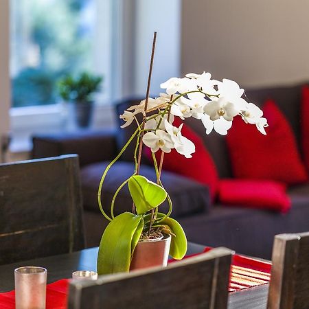 Apartment Zittera - Adults Only Innsbruck Eksteriør billede